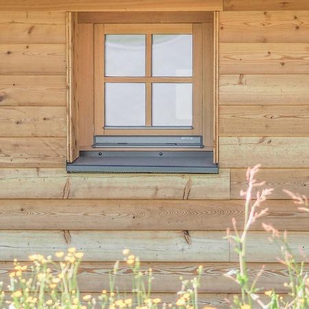 Das Koralpenchalet...Sonne, Wald, Natur! Trahutten エクステリア 写真