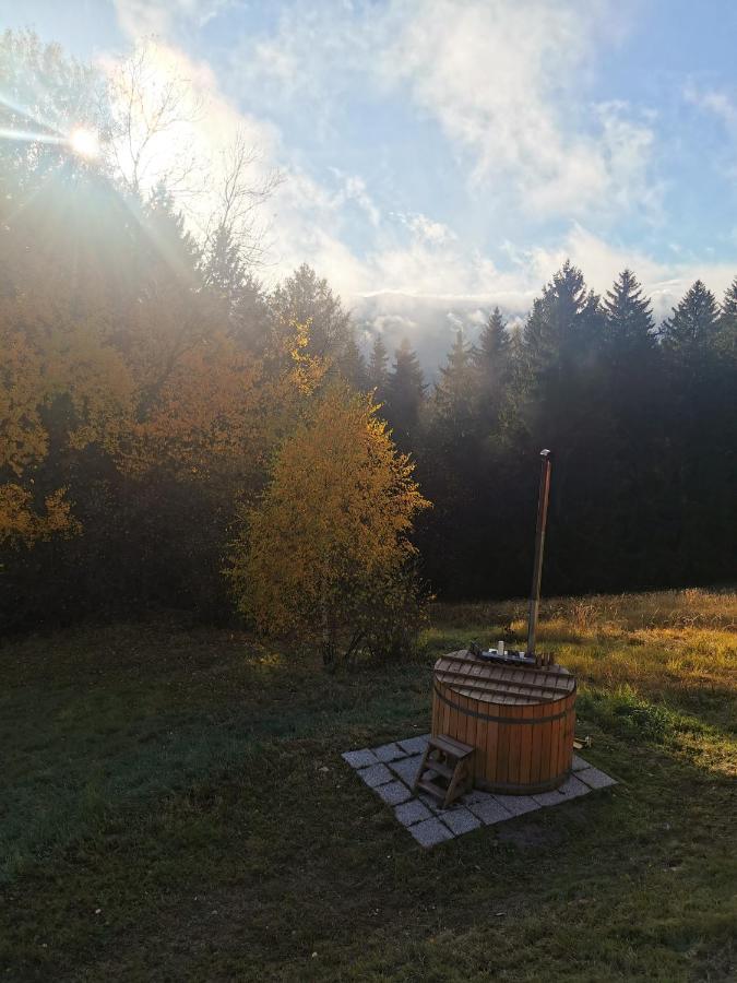Das Koralpenchalet...Sonne, Wald, Natur! Trahutten エクステリア 写真