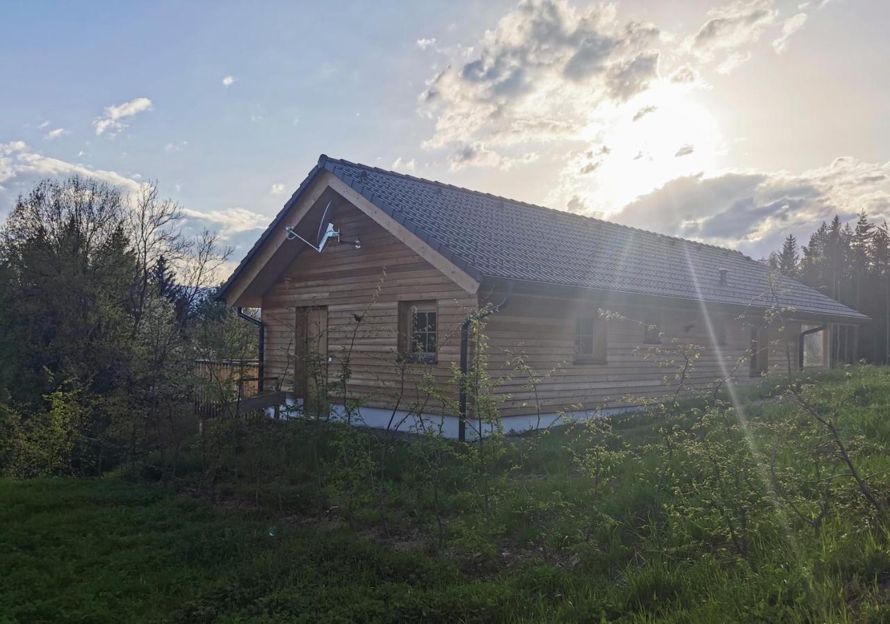 Das Koralpenchalet...Sonne, Wald, Natur! Trahutten エクステリア 写真