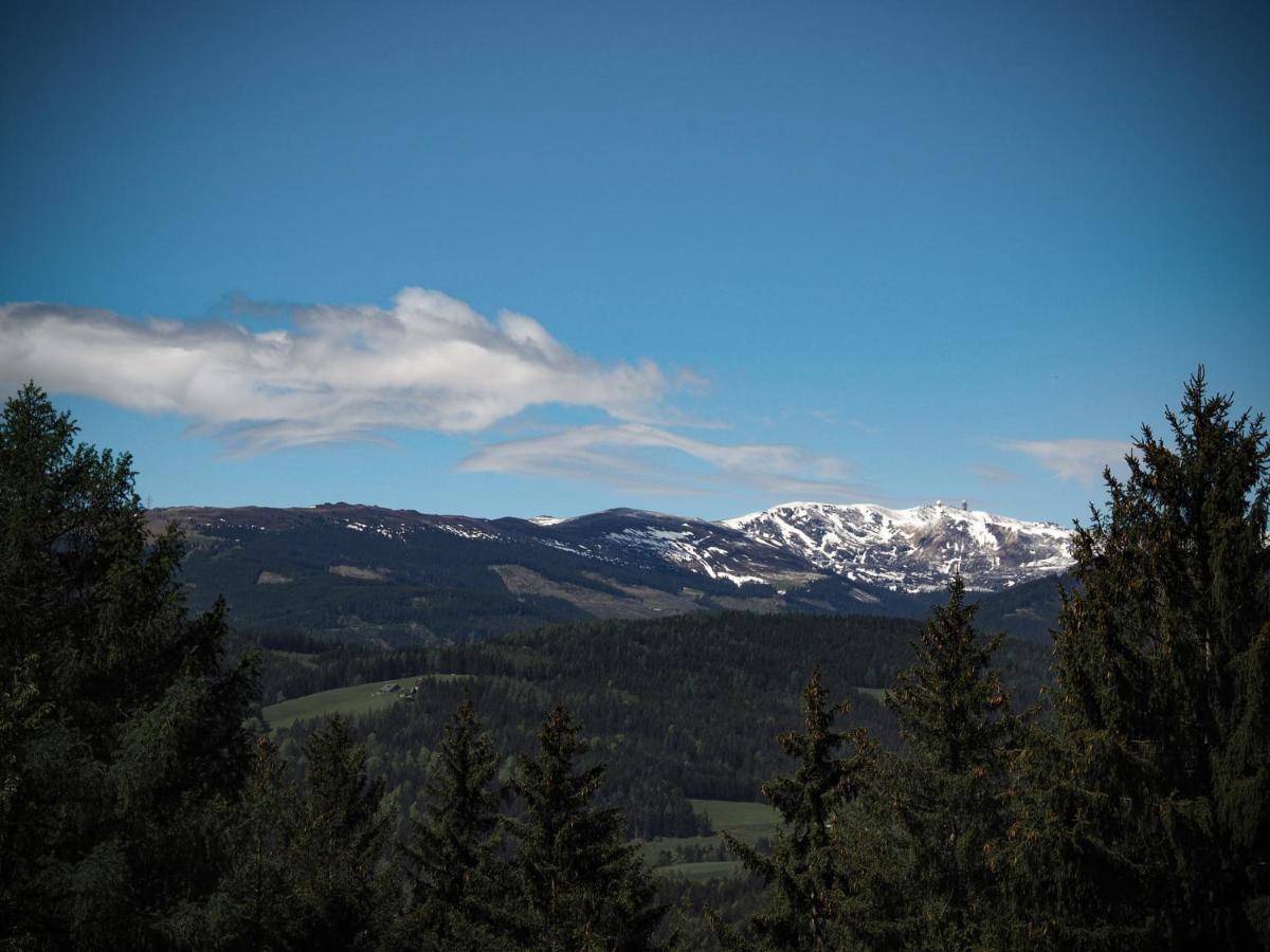 Das Koralpenchalet...Sonne, Wald, Natur! Trahutten エクステリア 写真