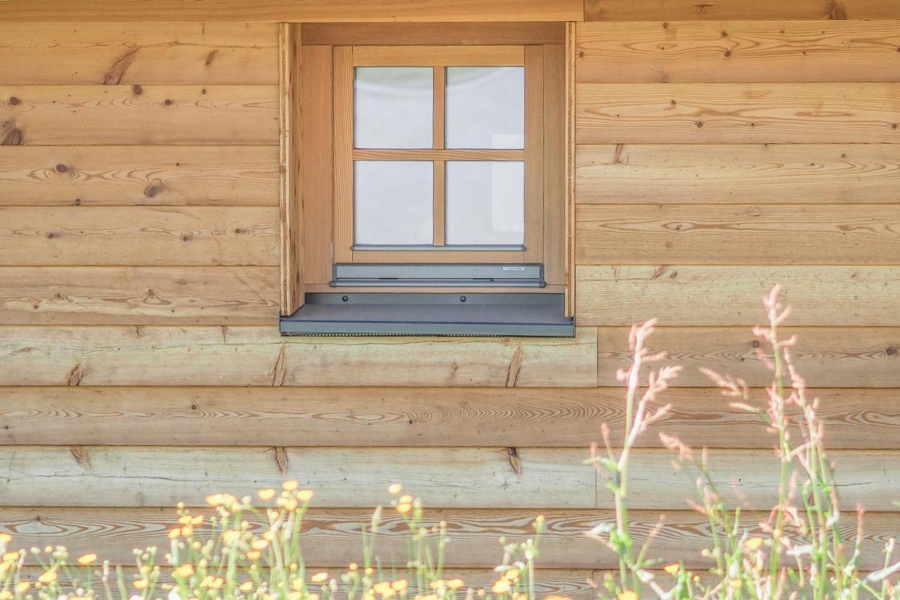 Das Koralpenchalet...Sonne, Wald, Natur! Trahutten エクステリア 写真