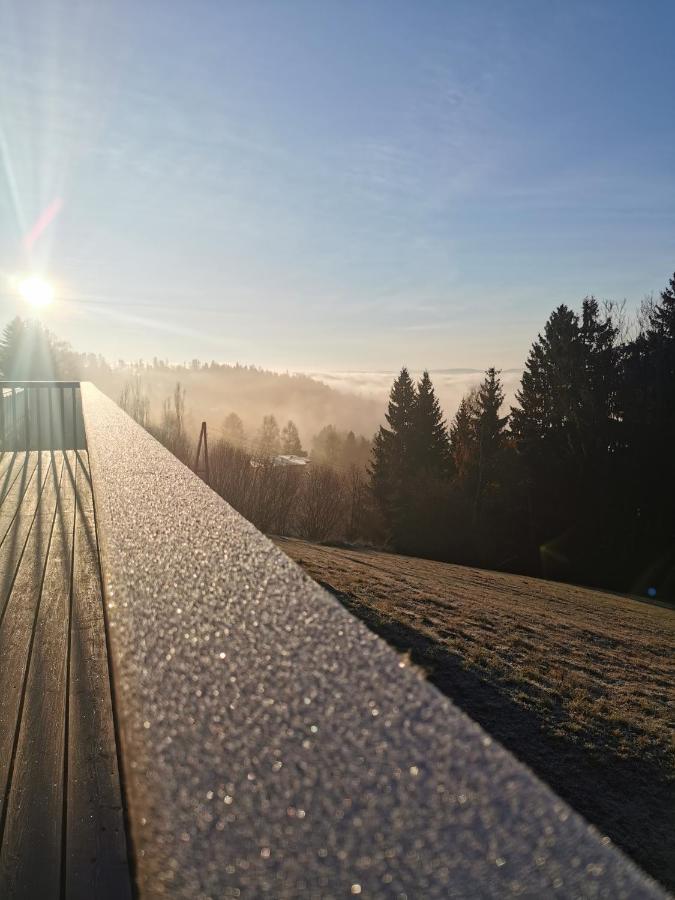 Das Koralpenchalet...Sonne, Wald, Natur! Trahutten エクステリア 写真